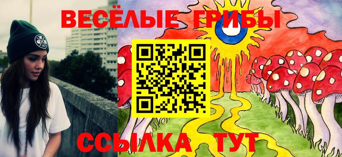 Псилоцибиновые грибы Cubensis Сертолово