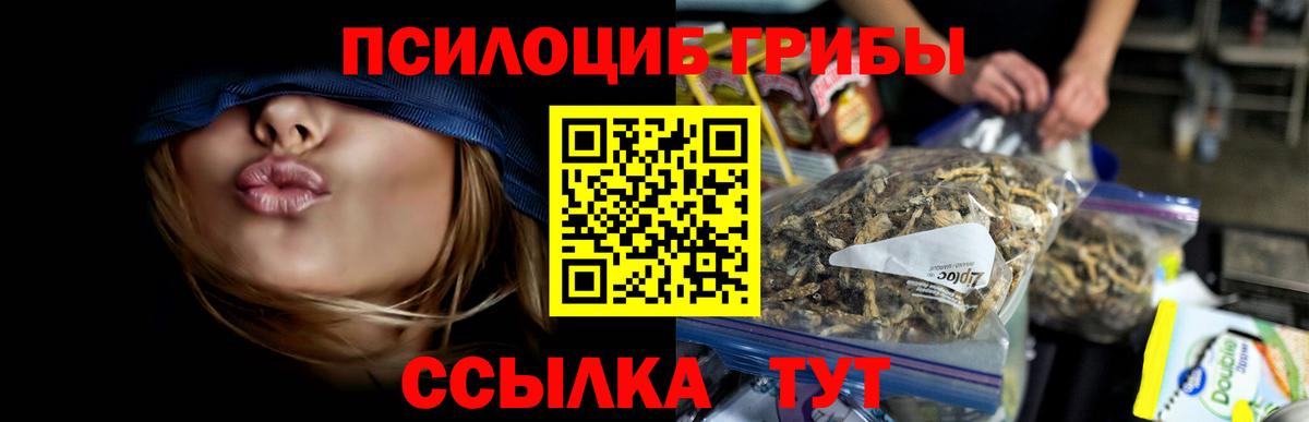 Сертолово  Псилоцибиновые грибы Psilocybe  где можно купить наркотик  Вход с VPN  Галлюциногенные грибы мухоморы 
